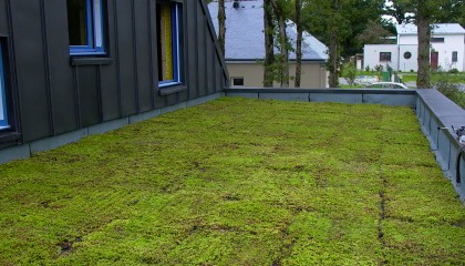 Toiture végétalisée - végétalisation fin travaux